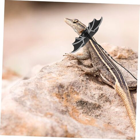 1 Set Outdoor Lizard Harness with Wing Design for Pets for and Exploration and Convenient Reptile Leash for Bearded Dragons and Lizards in Saudi Arabia