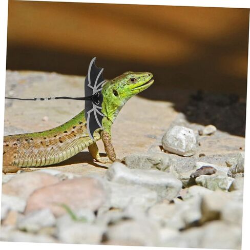 1 Set Outdoor Lizard Harness with Wing Design for Pets for and Exploration and Convenient Reptile Leash for Bearded Dragons and Lizards in Saudi Arabia