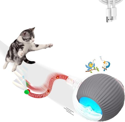 2 Pcs Interactive Cat Toys for Indoor Cats,Kitten Toys with Chirping & Motion Activate,Interactive Cat Toy for Bored Indoor Adult Cats,Red and Blue in Kuwait