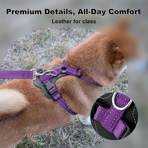 Plutus PET قابل للتعديل لا يسحب الكلب مع لهجات جلدية ، سترة نايلون عاكسة للخدمة الثقيلة للتدريب ، المشي لمسافات طويلة ، تسخير سهلة المشي للكلاب الصغيرة والمتوسطة والكبيرة (الأرجواني ، م) in Saudi Arabia
