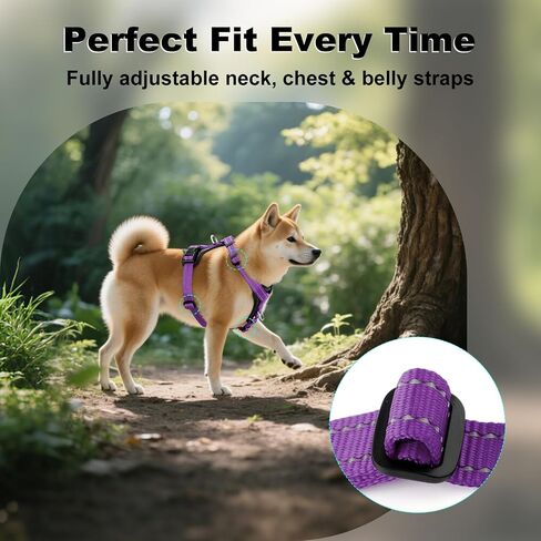 Plutus PET قابل للتعديل لا يسحب الكلب مع لهجات جلدية ، سترة نايلون عاكسة للخدمة الثقيلة للتدريب ، المشي لمسافات طويلة ، تسخير سهلة المشي للكلاب الصغيرة والمتوسطة والكبيرة (الأرجواني ، م) in Saudi Arabia