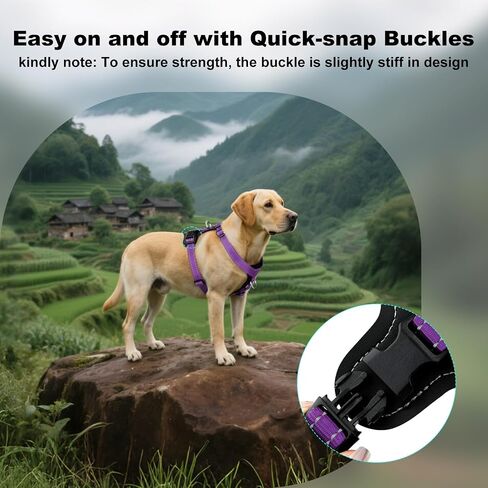 Plutus PET قابل للتعديل لا يسحب الكلب مع لهجات جلدية ، سترة نايلون عاكسة للخدمة الثقيلة للتدريب ، المشي لمسافات طويلة ، تسخير سهلة المشي للكلاب الصغيرة والمتوسطة والكبيرة (الأرجواني ، م) in Saudi Arabia