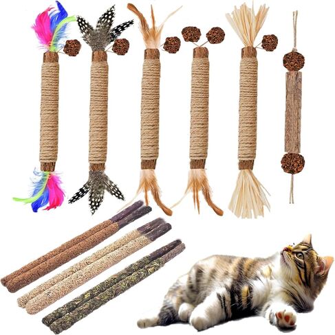 6Pcs Cat Toys Cats Grass Treat for Indoor Cat Edible Grass Kitten Toys Kitty Chew Grass Sticks for Teeth Kitten Snack in Kuwait