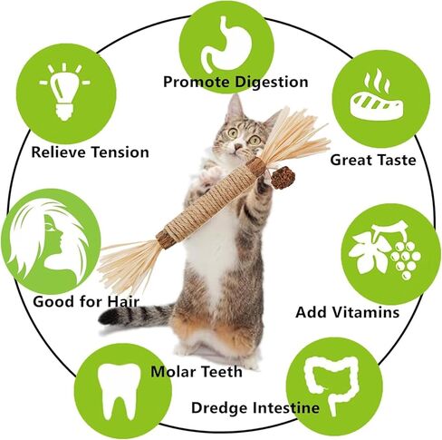 6Pcs Cat Toys Cats Grass Treat for Indoor Cat Edible Grass Kitten Toys Kitty Chew Grass Sticks for Teeth Kitten Snack in Kuwait