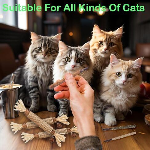 6Pcs Cat Toys Cats Grass Treat for Indoor Cat Edible Grass Kitten Toys Kitty Chew Grass Sticks for Teeth Kitten Snack in Kuwait