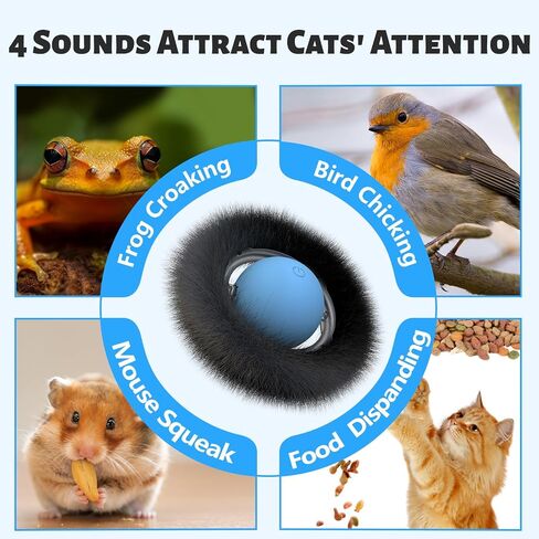 ORSDA Cat Toys, Interactive Fast Rolling Ball in Pouch, Hide and Seek for Indoor Cats, Motion Chirping Activated Moving Ball, 7 Holes Mat Mouse Catching Game in Kuwait