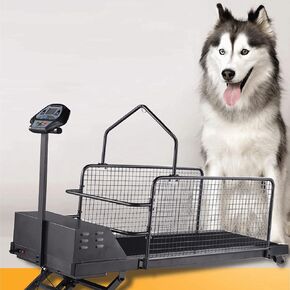 Dog Treadmill Large Medium Sized Dogs Pet Running Machine Indoor Exercise with Slope Adjustment Display Screen Load-Bearing 220 LBS