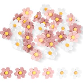 Bewudy 30 Pcs Flower Push Pins, Cute Push Pins for Bulletin Board Cork Board Thumbtacks Flower Decorative Pin for Office Hanging Photo Photo Wall Map (Pink, White)
