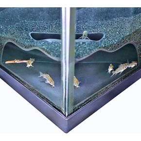 Aquarium Underground Corner Cave Natural Curve | Viewing Fish & Shrimp Under Gravel Tunnel | Fish Tank Decor Decoration Hideout Perfect for Corydora Catfish, Kuhli Loach, Pleco