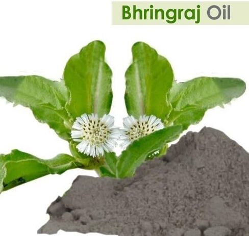 زيت القرع الزجاجي (Lagenaria Siceraria) زيت ناقل طبيعي نقي 100% (50 مل) in Kuwait