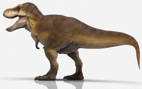 RECUR 15" T-Rex Osborne Prehistoric Dinosaur Models - Realistic Tyrannosaurus Rex Figurine Dino Play Toy for Display with Movable Jaw Deluxe in Saudi Arabia