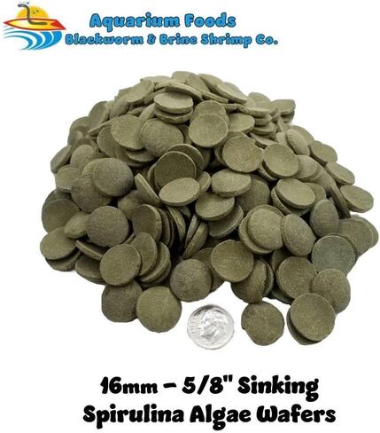 Aquatic Foods Inc. 16mm - 5/8 "رقائق متوسطة/كبيرة من الطحالب ، سبيرولينا ، الخضار لجميع الأسماك الاستوائية ، cichlids الأفريقية ، الروبيان ، القواقع ، سرطان البحر ، سمك السلور ، plecos .. ... 1 رطل 0.3 أوقية حقيبة صافية in Saudi Arabia