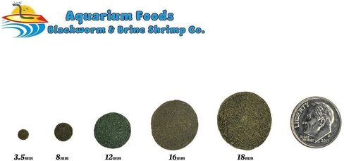 Aquatic Foods Inc. 16mm - 5/8 "رقائق متوسطة/كبيرة من الطحالب ، سبيرولينا ، الخضار لجميع الأسماك الاستوائية ، cichlids الأفريقية ، الروبيان ، القواقع ، سرطان البحر ، سمك السلور ، plecos .. ... 1 رطل 0.3 أوقية حقيبة صافية in Saudi Arabia