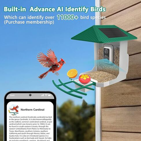 2.5K Smart Bird Feeder with Camera, 2.5L Birds Watching Camera with AI Identify Bird Species, Outdoor Birds Feeder House with Solar Panel for BirdLovers (Cyan) in Kuwait