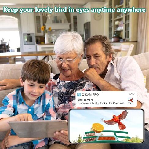 2.5K Smart Bird Feeder with Camera, 2.5L Birds Watching Camera with AI Identify Bird Species, Outdoor Birds Feeder House with Solar Panel for BirdLovers (Cyan) in Kuwait