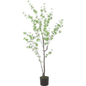 Christopher Knight Home Bowrun 4' x 2.5' Artificial Enkianthus Tree - Silk - Green
