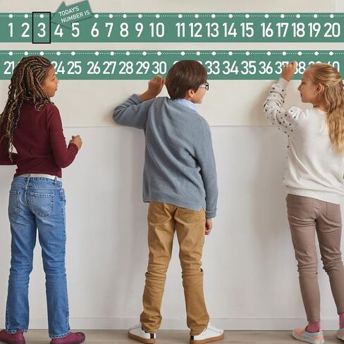 Number Line Bulletin Board -20 to 120 for Wall Classroom, Eucalyptus Leaf Green Bulletin Border Trim Decor, Eucalyptus Home-School Classroom Math Learning Supplies for Teachers Students in Saudi Arabia