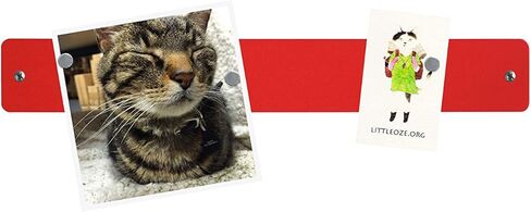 لوحة إعلانات مغناطيسية من Three by Three Seattle مقاس 14 × 2.5 بوصة بشريط معدني صغير بدون إطار مع 6 مغناطيسات للمذكرات والصور والقوائم والمزيد في ديكور المكتب أو المنزل أو المدرسة (أزرق سماوي) in Kuwait