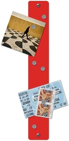 لوحة إعلانات مغناطيسية من Three by Three Seattle مقاس 14 × 2.5 بوصة بشريط معدني صغير بدون إطار مع 6 مغناطيسات للمذكرات والصور والقوائم والمزيد في ديكور المكتب أو المنزل أو المدرسة (أزرق سماوي) in Kuwait