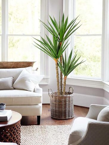 Artificial Tree Indoor 5.2Ft Faux Agave Plant Tree Fake Tropical Yucca Tree with 2 Heads in Pot Fake Dracaena Plants Potted Palm Tree Floor Plant Home Decor Office House Decoration Housewarming Gift in Saudi Arabia