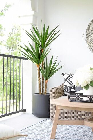 Artificial Tree Indoor 5.2Ft Faux Agave Plant Tree Fake Tropical Yucca Tree with 2 Heads in Pot Fake Dracaena Plants Potted Palm Tree Floor Plant Home Decor Office House Decoration Housewarming Gift in Saudi Arabia