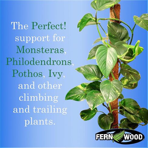 Tree Fern Totem Board- for Orchids, Aroids, and Other Climbing Plants | Soft, Durable, Fibrous | Natural and Sustainable | 2 Pack | 19.7x2x2 in Saudi Arabia