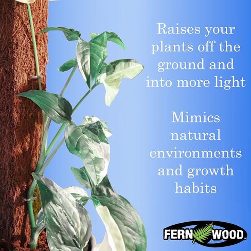 Tree Fern Totem Board- for Orchids, Aroids, and Other Climbing Plants | Soft, Durable, Fibrous | Natural and Sustainable | 2 Pack | 19.7x2x2 in Saudi Arabia