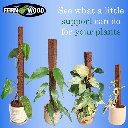 Tree Fern Totem Board- for Orchids, Aroids, and Other Climbing Plants | Soft, Durable, Fibrous | Natural and Sustainable | 2 Pack | 19.7x2x2 in Saudi Arabia