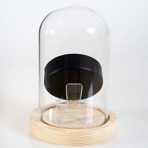 Glass Hockey Puck Display Case with Wood Base That Lights up and a Ice Hockey Pucks Hockey Puck Case Small Display Case Puck Holder Display in Kuwait