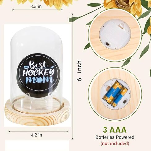 Glass Hockey Puck Display Case with Wood Base That Lights up and a Ice Hockey Pucks Hockey Puck Case Small Display Case Puck Holder Display in Kuwait