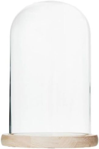 Glass Hockey Puck Display Case with Wood Base That Lights up and a Ice Hockey Pucks Hockey Puck Case Small Display Case Puck Holder Display in Kuwait