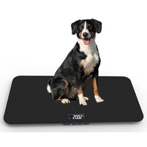 Angel Canada 440 Pounds Veterinary Dog Scale with Tempered Glass 32 X 16 Inch Platform, Built in Display, Anti-Slip Mat for Dog Cat Pet Alpaca Llama Sheep Fish Vet