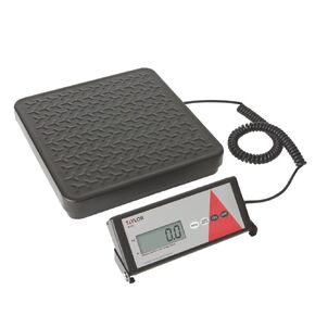 Taylor Precision TE400 Receiving Scale, Digital, 400 lb. x 0.5lb. / 180 kg x 0.2 kg Capacity, Painted Removable Steel Tread Plate Platform, Tare, Hold & recalibration Features