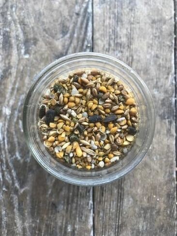 Non-GMO Soy and Corn Free Whole Grain Layer Blend 16% - Chicken Feed for Laying Hens and Ducks - Includes Essential Oils, Herbs, Oyster Shells, Vital Minerals, and Omega 3, 40lb in Saudi Arabia
