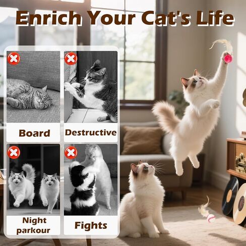Cat Bouncy Ball Toys Sports Style, 3 Pack with Feathers, Durable Interactive Chase and Pounce Toys for Indoor Cat Exercise, Suitable for All Breeds in Saudi Arabia