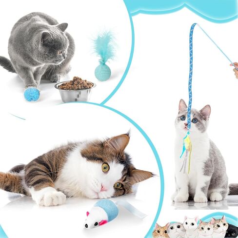 24 Pcs Cat Toys Set Interactive Kitten Toys Pack Including Collapsible Play Tunnel Feather Teaser Wand Fuzzy Ball Springs Pillow Mouse Bells for Indoor Cats Puppy (Pink) in Saudi Arabia