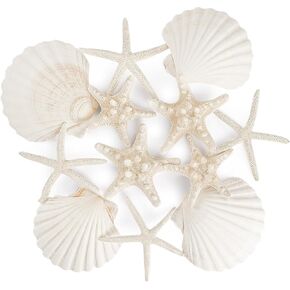 PPCLION 12 PCS Natural Starfish 4-5" and Scallop Shell for Crafts Making Beach Theme Party Wedding Decoration, Home Wall Decor, Christmas Ornaments