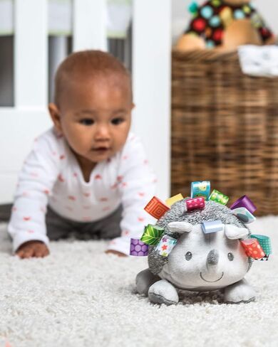 Taggies Taggies Heather Hedgehog Squeeze & Squeak Soft Toy in Saudi Arabia
