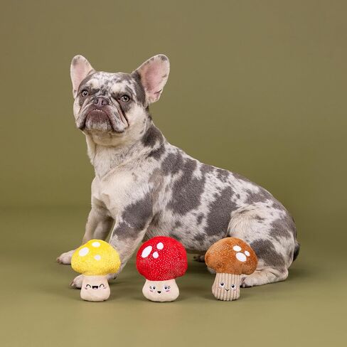 Fringe Studio Plush Dog Toy, 3 Pieces Set, SHROOMING, Pet Shop Collection (662176) in Kuwait