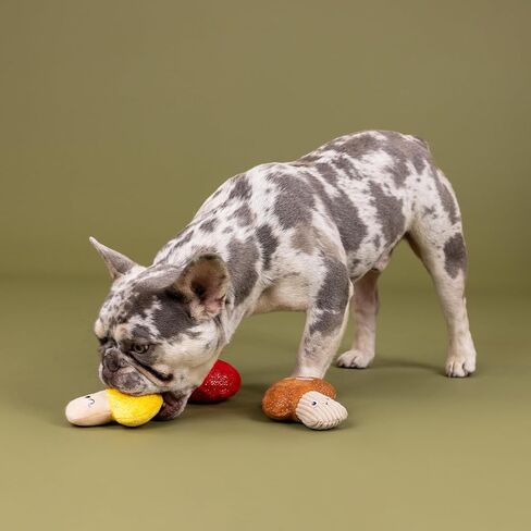Fringe Studio Plush Dog Toy, 3 Pieces Set, SHROOMING, Pet Shop Collection (662176) in Kuwait