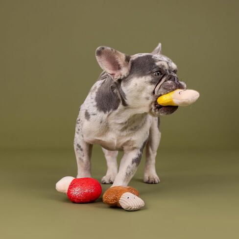 Fringe Studio Plush Dog Toy, 3 Pieces Set, SHROOMING, Pet Shop Collection (662176) in Kuwait