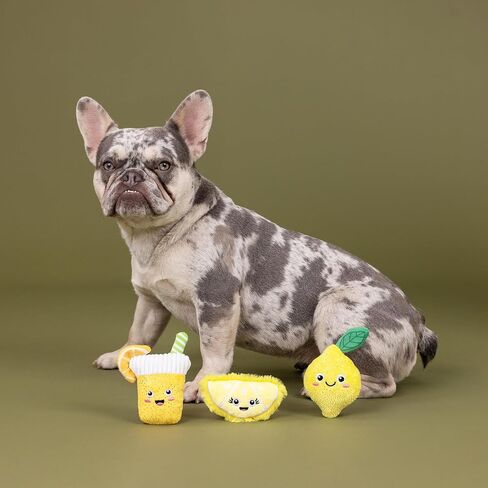 Fringe Studio Plush Dog Toy, 3 Pieces Set, SHROOMING, Pet Shop Collection (662176) in Kuwait