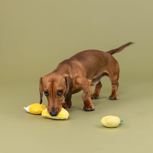 Fringe Studio Plush Dog Toy, 3 Pieces Set, SHROOMING, Pet Shop Collection (662176) in Kuwait