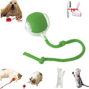 Rollraptor- Rollraptor Interactive Pet Toy Ball, Zoomie Ball, Zoomie Dog for Small Dog, Interactive Rolling Dog, Cat Toys, Automatic Rotating Rolling