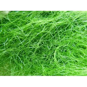 Thin Chaeto Chaetomorpha Macroalgae Reef Coral Refugium Aquarium, (1 Cup., 05 OZ)