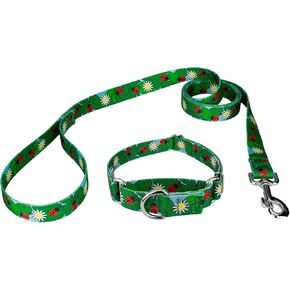 Country Brook Petz - Anchors Away Martingale Dog Collar and Leash - Summer Breeze Collection Featuring Sunny Designs (1 Inch, Large)