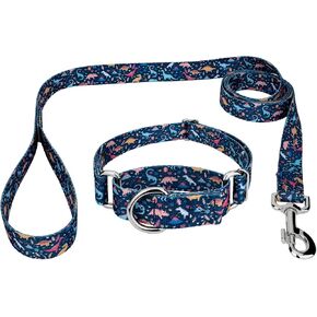 Country Brook Petz - Sharks Martingale Dog Collar and Leash - Critter Corner Collection Featuring Creature Themed Designs (1 Inch, Medium)