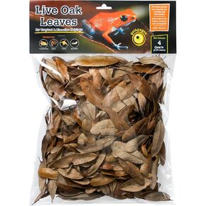 Galápagos (05154) Natural Live Oak Leaf Litter, Ideal Leaf Litter for Reptiles, Isopods & Bioactive Terrariums, 4QT, Natural