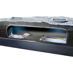 Aquarium Underground Tunnel Cave | Viewing Fish & Shrimp Under Gravel Tunnel | Fish Tank Decor Decoration Hideout Perfect for Corydora Catfish, Kuhli Loach, Clown Loach, Pleco