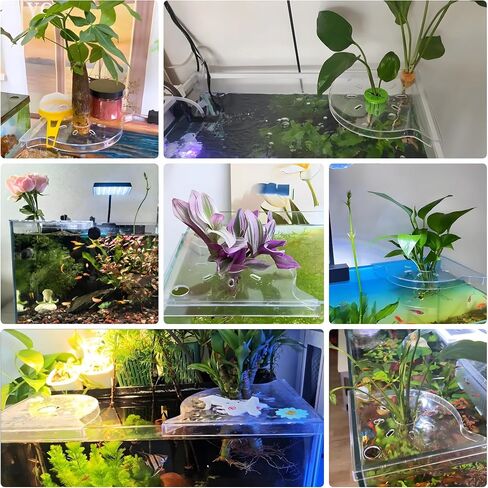 2 PCS Aquarium Corner Shelf مع حامل النبات ، يجلس على حافة الخزان ، مثالية للنباتات المائية ، ديكور خزان الأسماك وملحقاتها ، تناسب معظم الخزانات ، خاصةً مقابل 20 جالونًا أو أكبر (أبيض) in Kuwait